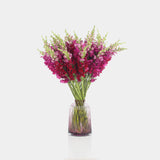 Box of Blooms Snapdragons purple