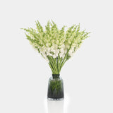 Box of Blooms Snapdragons white