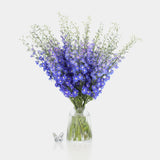 Box of Blooms Delphinium blue