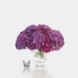 Box of Blooms Hydrangea purple