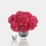 Box of Blooms Hydrangea red