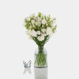 Box of Blooms Lisianthus white