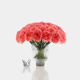 Box of Blooms Roses Pink Expression