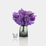 Box of Blooms Orchids Vanda Purple