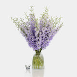Box of Blooms Delphinium lavender
