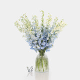 Box of Blooms Delphinium light blue