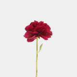 Peonies