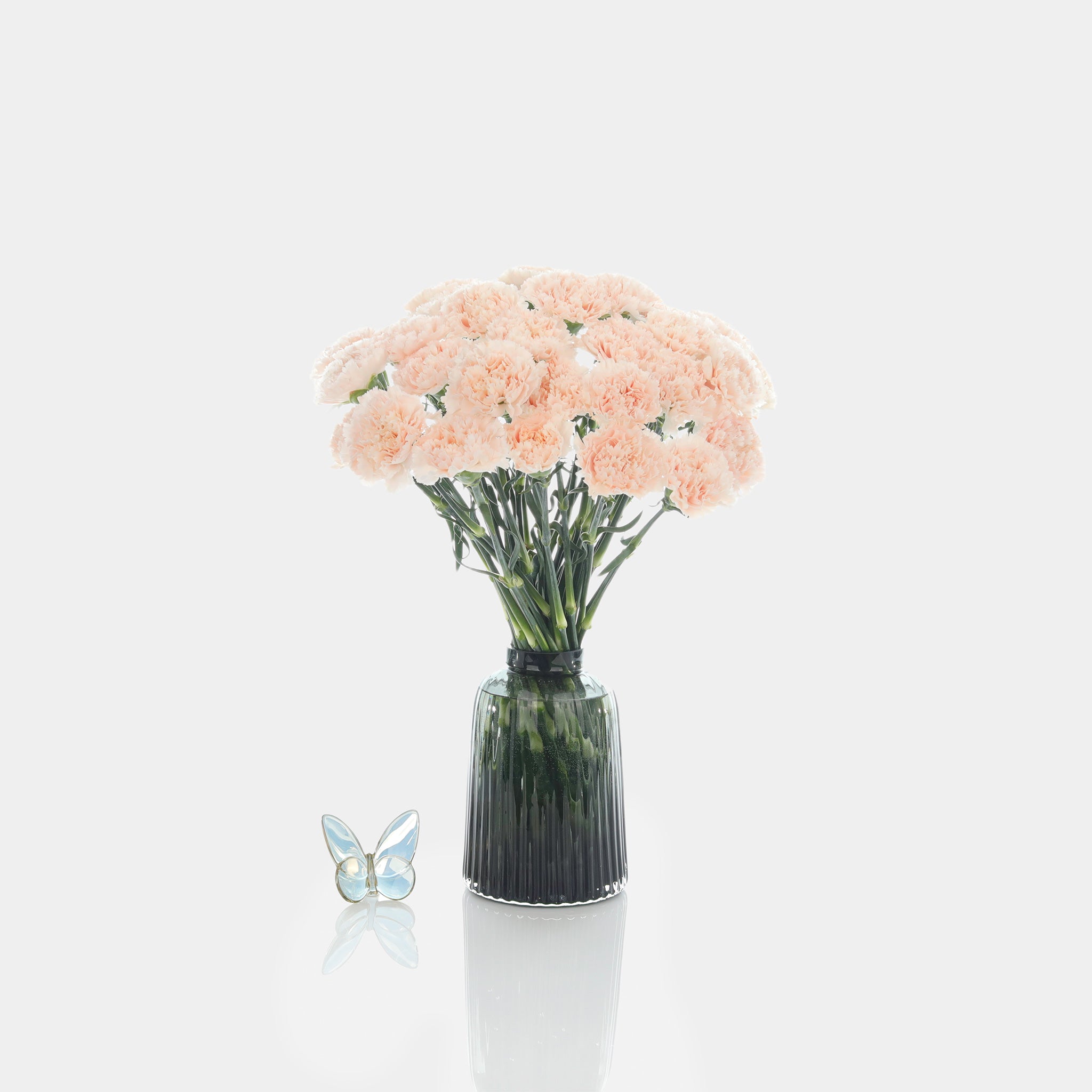 Carnations – Belle Fleur New York - Floral & Fragrance