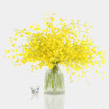 Box of Blooms Orchids Oncidium Yellow