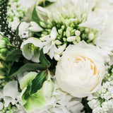 Pure garden bouquet closeup