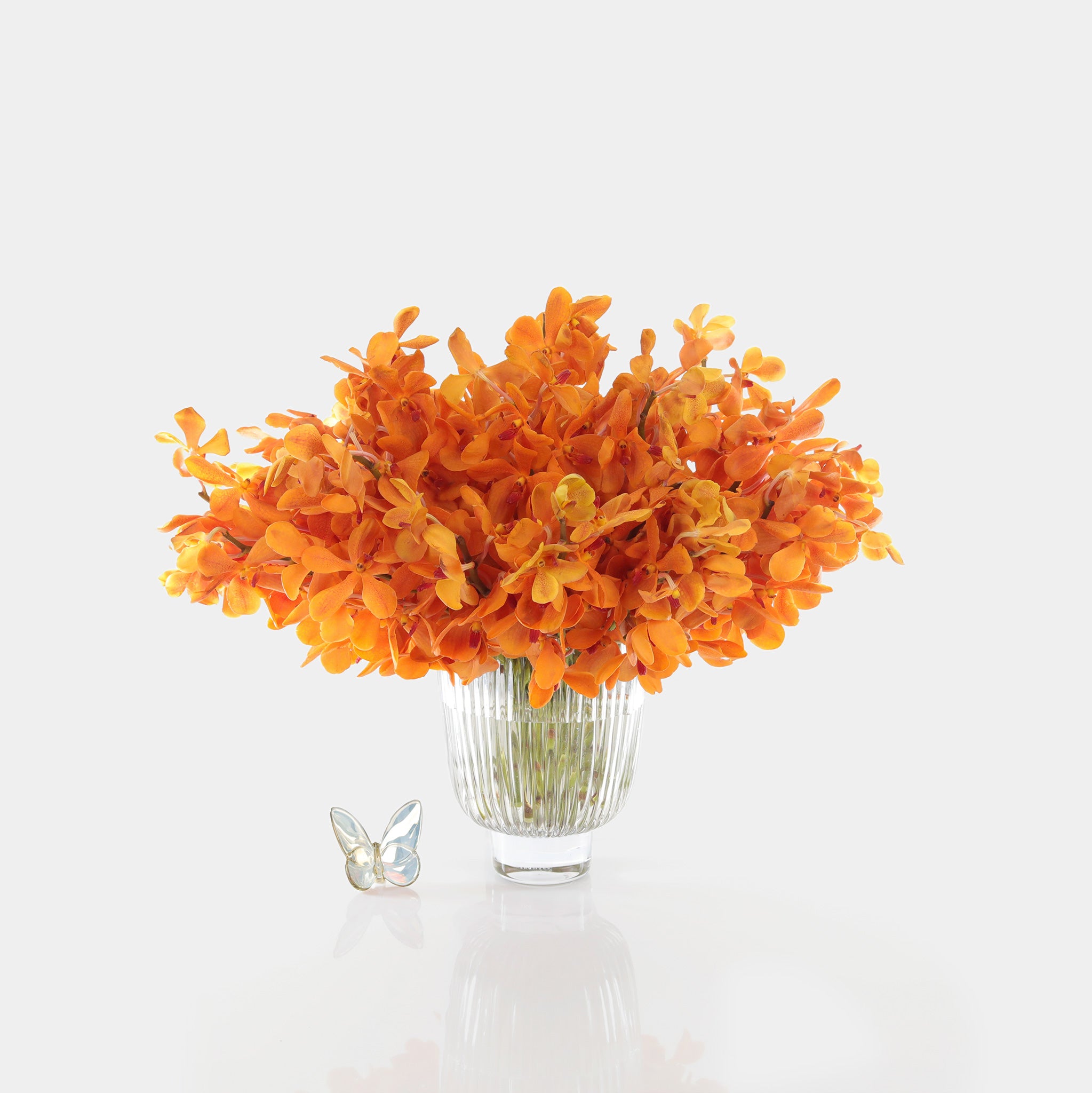 Mokara Orchids - Belle Fleur New York - Floral & Fragrance