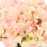 Pastel Modern bouquet closeup