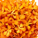 Sunset Modern bouquet closeup