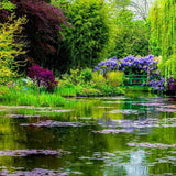 Jasmine Verbena ambient image