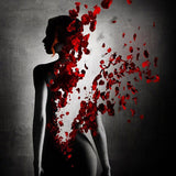 Rose Immortelle ambient image