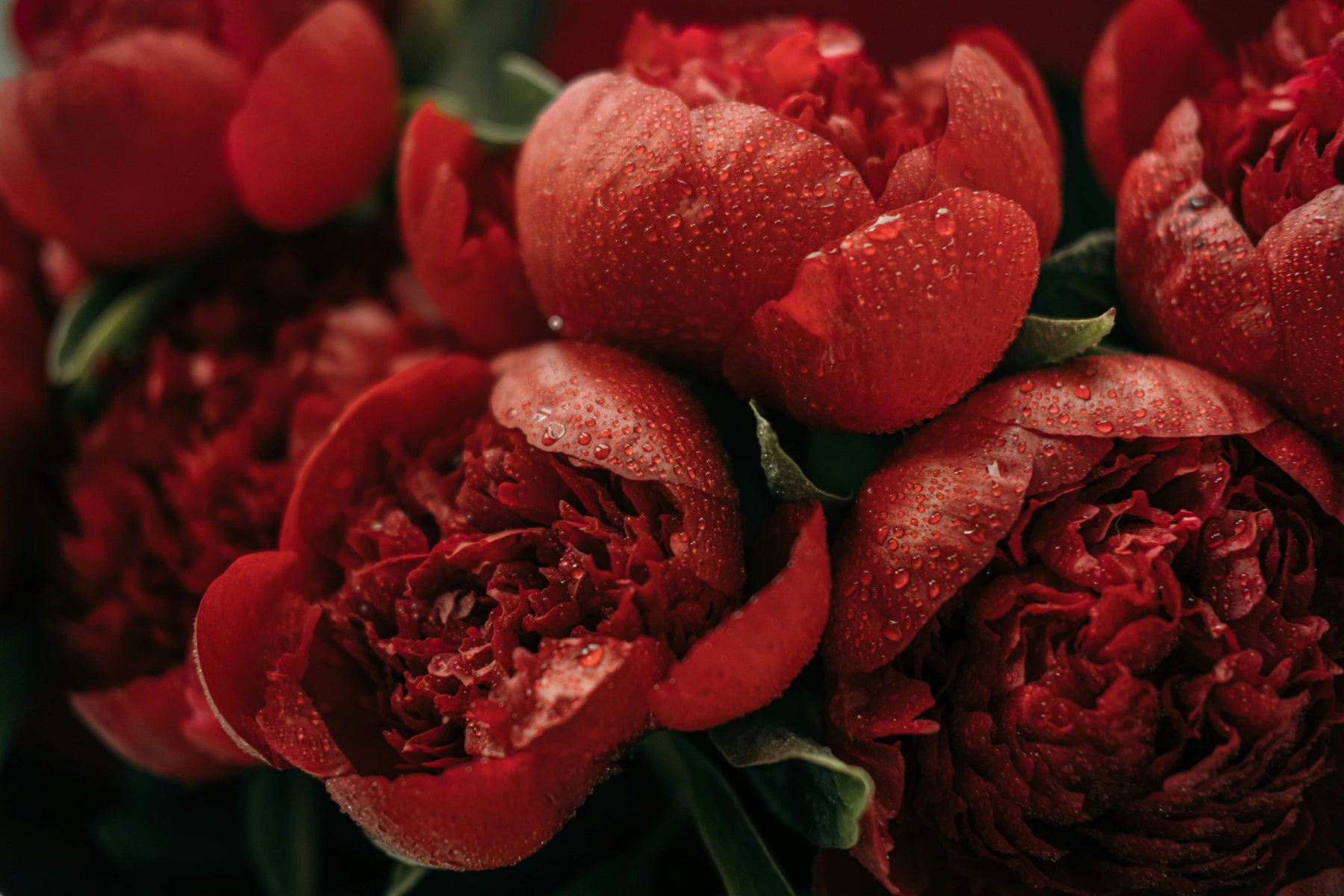 Inside the World of NYC’s Finest Florists: The Belle Fleur Difference
