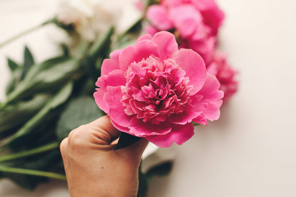 Why Belle Fleur Defines the Best Online Flower Delivery in NYC