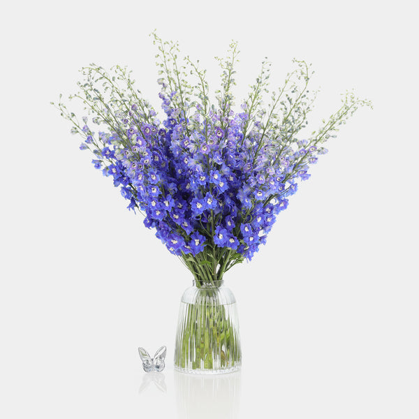 Box of Blooms Delphinium blue