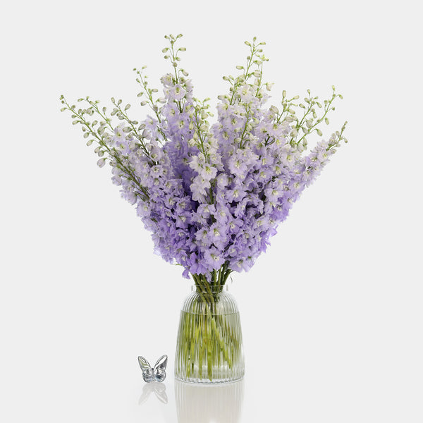 Box of Blooms Delphinium lavender