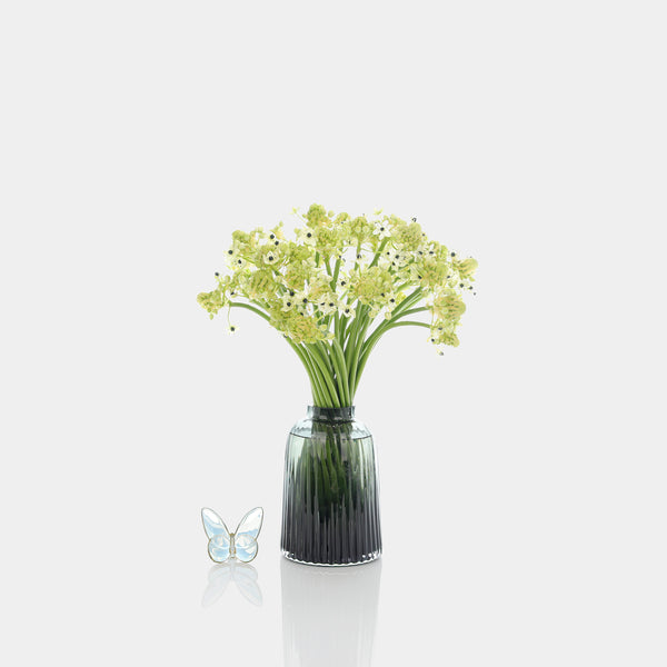 Arabicum