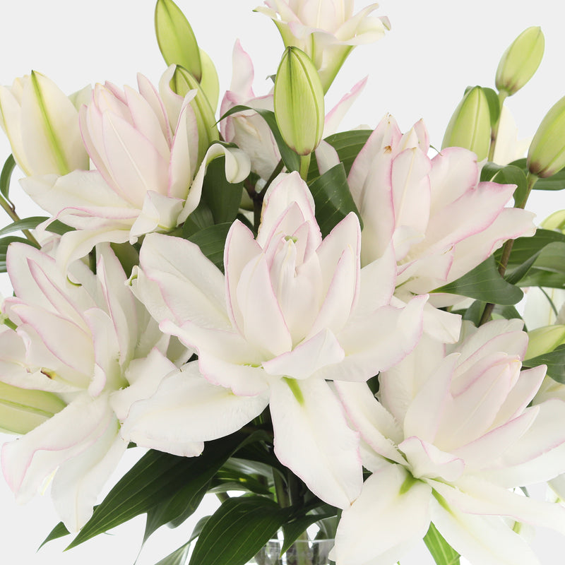 double lily flower Double Rose Lilies – Belle Fleur New York