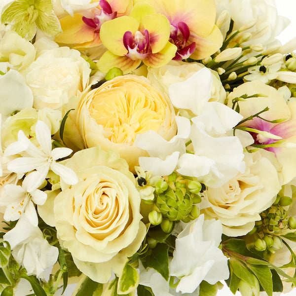 Citrus classic bouquet closeup