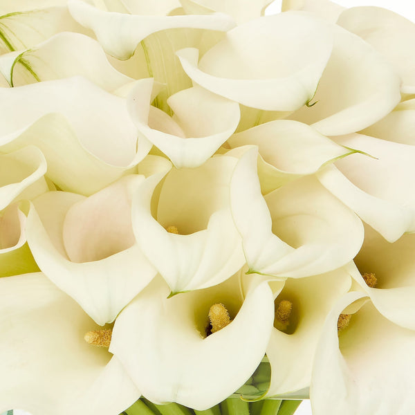 Pure Modern bouquet closeup