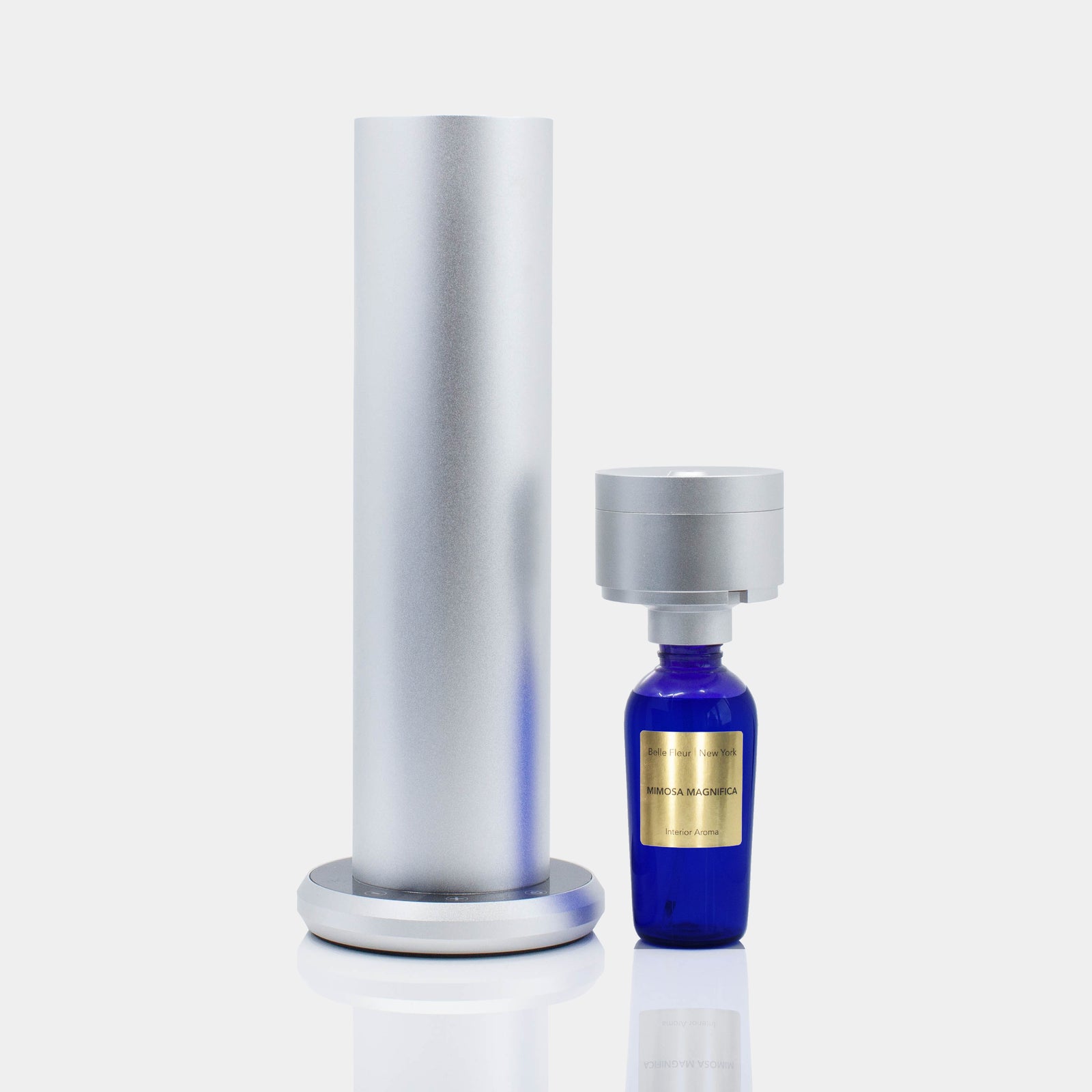 AEROMYST -- Bone Leather – Belle Fleur New York - Floral & Fragrance